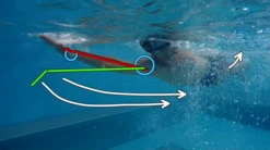 Zwemanalyse In Endless Pool Bij Tri2one Coaching 9 Zwemanalyse In Endless Pool Bij Tri2one Coaching -Zwemartikelen Winkel 20190918