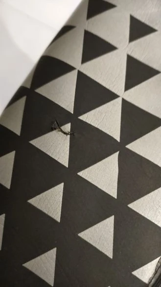 BTTLNS Wetsuit Tormentor 1.0 Demo Heren Maat SM 4 BTTLNS Wetsuit Tormentor 1.0 Demo Heren Maat SM - Afbeelding 2